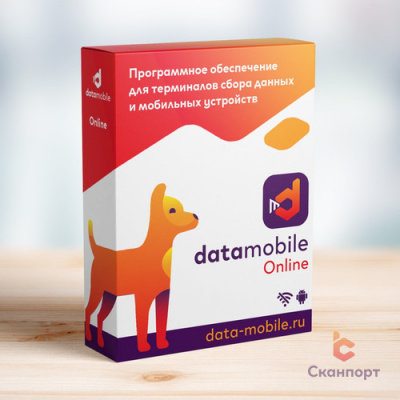 DataMobile, версия Online LifeTime